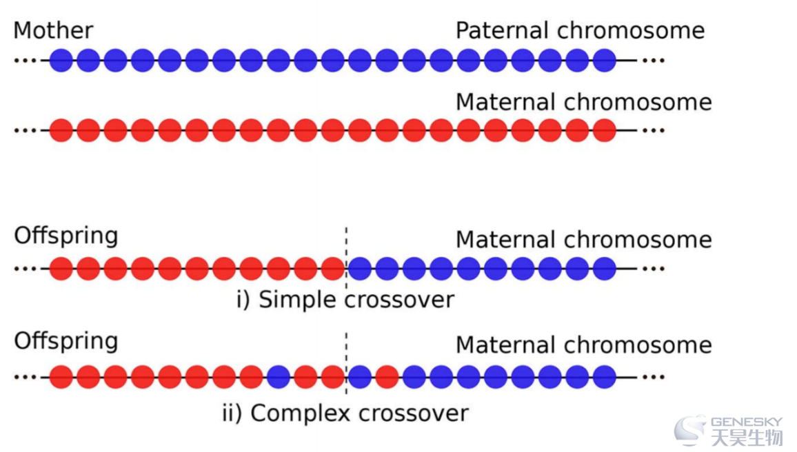amgen decode genetics amgen decode genetics