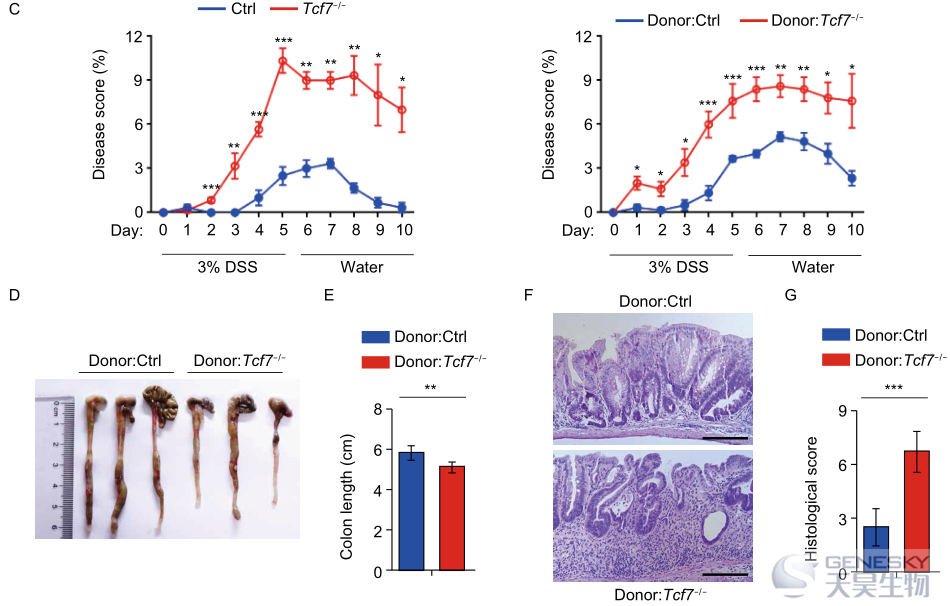 protein & cell:tcf-1缺失会影响肠道微生物群的组成,并增加对结肠炎